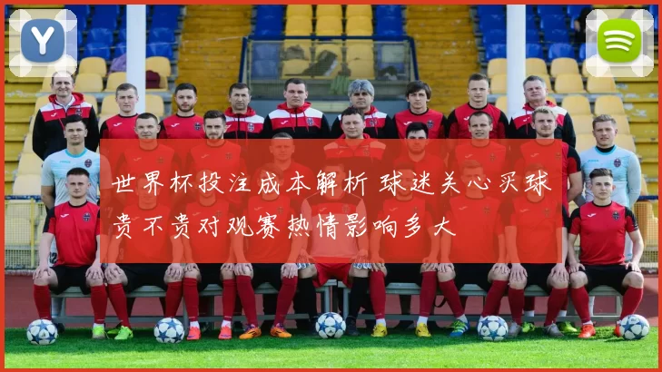 世界杯投注成本解析 球迷关心买球贵不贵对观赛热情影响多大