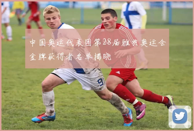 中国奥运代表团第28届雅典奥运会金牌获得者名单揭晓