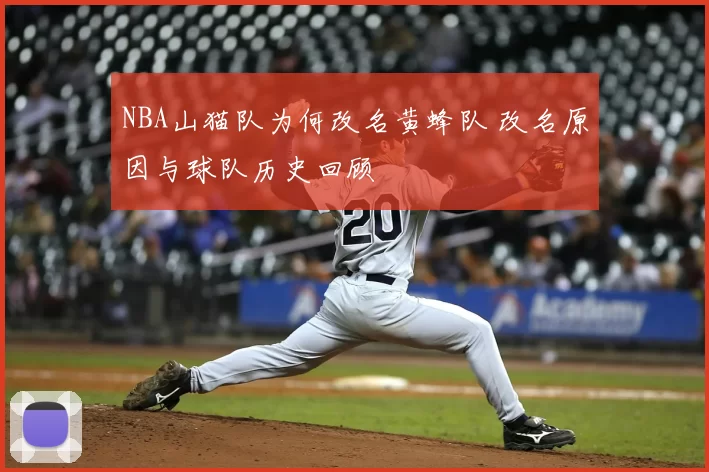 NBA山猫队为何改名黄蜂队 改名原因与球队历史回顾