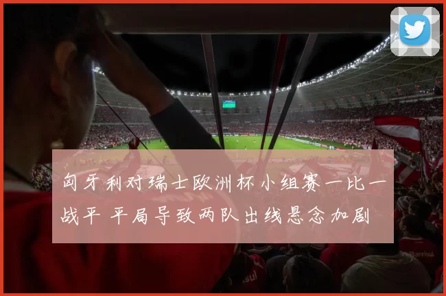 匈牙利对瑞士欧洲杯小组赛一比一战平 平局导致两队出线悬念加剧