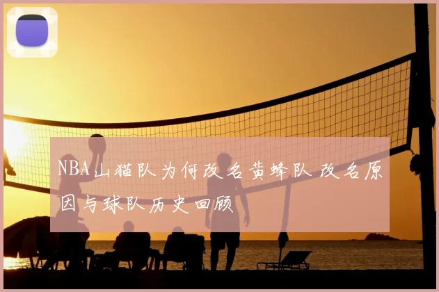 NBA山猫队为何改名黄蜂队 改名原因与球队历史回顾