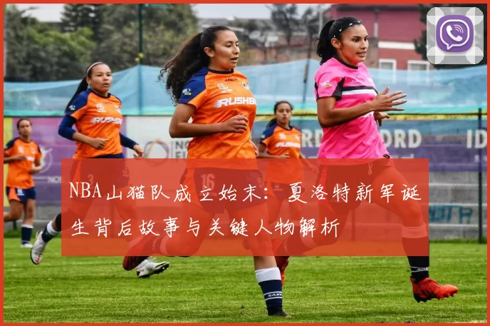 NBA山猫队成立始末：夏洛特新军诞生背后故事与关键人物解析