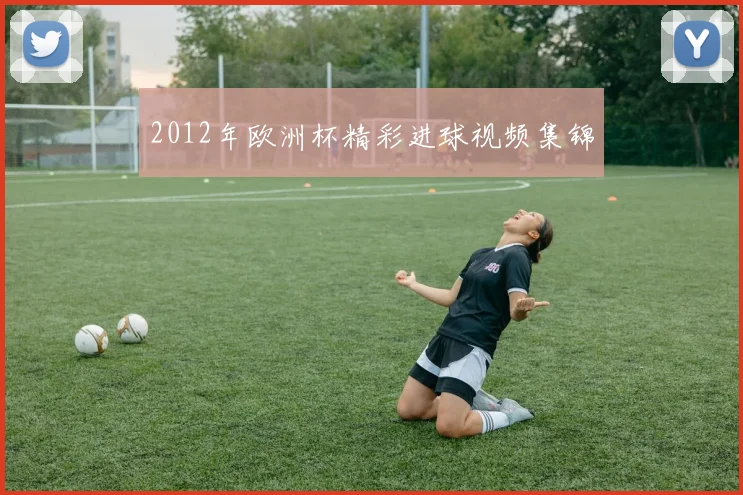 2012年欧洲杯精彩进球视频集锦