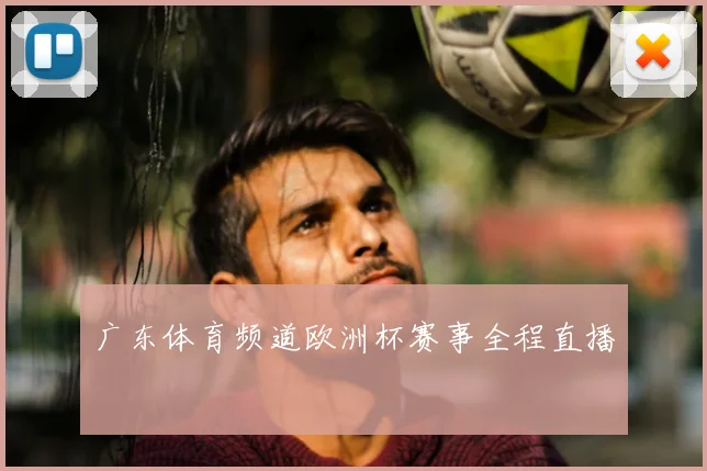 广东体育频道欧洲杯赛事全程直播